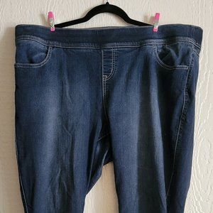 Torrid - Pull Up Jean Size 3